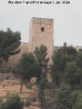 Castillo Nuevo de Santa Catalina. Torre Albarrana. 