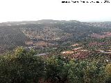 Loma del Pino. Desde el Pen de la Zorra