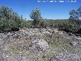 Yacimiento ibero de Cabeza Higuerosa