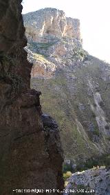 Pinturas rupestres de la Cueva Escondida de los Caones. Vistas