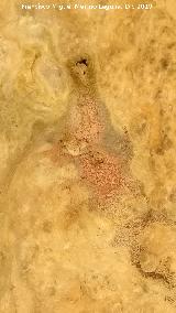 Pinturas rupestres del Abrigo de los Caones IV. Pintura