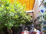 Casa de la Calle Don Rodrigo n 7. Patio