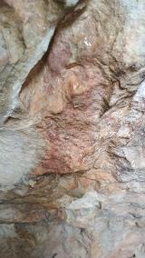 Pinturas rupestres de la Cueva de Ro Fro. 