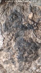 Pinturas rupestres de la Cueva de Ro Fro. Antropomorfo negro