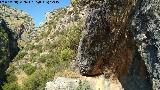 Pinturas rupestres de la Cueva de Ro Fro. Cueva