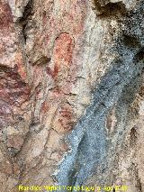 Pinturas rupestres de la Cueva de Ro Fro. 