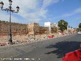 Muralla del Marrubial