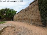 Muralla del Marrubial. Unin con la Muralla de la Calle Fernando de Lara