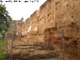 Muralla de la Calle Fernando de Lara