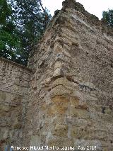 Muralla de la Calle Fernando de Lara. Terminacin de la muralla antes de llegar a la esquina del Marrubial