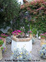 Palacio de Viana. Patio del Pozo. 