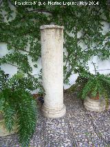 Palacio de Viana. Patio del Pozo. Columna