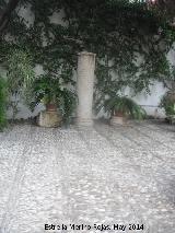 Palacio de Viana. Patio del Pozo. Suelo y columna