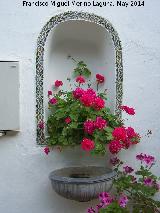 Palacio de Viana. Patio de los Jardineros. 