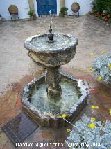 Palacio de Viana. Patio de los Jardineros. Fuente