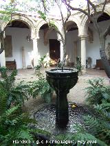 Palacio de Viana. Patio de la Capilla. Fuente
