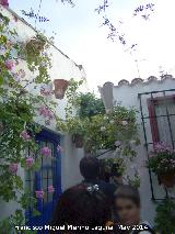 Casas de la Calle Marroques n 6. Casas