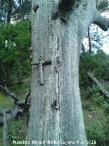 Cruz del Puerto del Raso. 