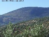 Cerro de San Critbal