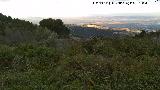 Fuente del Alamillo. Vistas