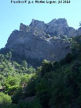 El Castelln de los rganos. 