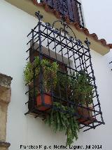 Casa de la Calle Padre Leal. Reja de rosetas y forja