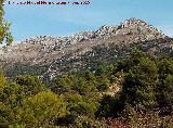 Sierra de Grajales. 