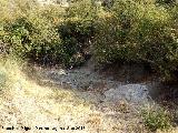 Sierra de Grajales. Manantial ocasional en las inmediaciones del Pozo de Puerto Alto