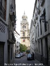 Calle Obispo Gonzlez