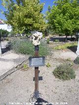 Plaza de Gtar. Jardines