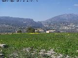 Cortijo de los Naranjos. 