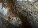 Cueva de la Canalizacin. Estalactitas