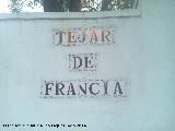 Tejar de Francia. 