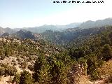 Mirador del Collado del Pocico. Vistas