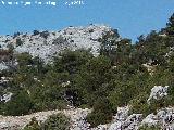 El Agrin. Desde el Mirador Camino del Blanquillo