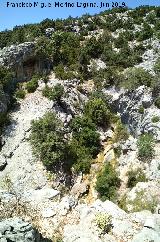 Arroyo del Raso de la Honguera. Curso alto