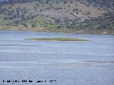 Pantano de la Fernandina. Isla