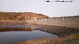 Pantano de la Fernandina. Presa