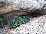 Rayal. Cueva de la cara norte