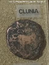 Cstulo. As de Clunia ao 0. Museo Arqueolgico de Linares