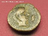 C�stulo. Divisor de C�stulo. Anverso: Cabeza masculina apol�nea. Museo Provincial de Ja�n