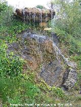 Jardn Micolgico La Trufa. Cascada