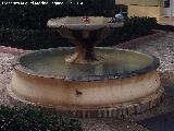 Fuente de los Naranjos. 