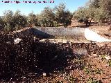 Fuente de la Aragonesa. Alberca