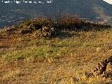 Cerro Cerrajn. Cumbre