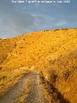 Cerro Cerrajn. 