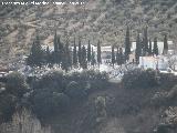 Cementerio de Frailes. 