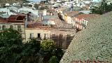 Navas de San Juan. Desde el campanario