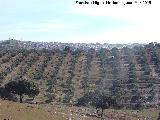 Navas de San Juan. Asomando tras la Loma del Pino