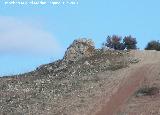 Cerro de la Atalaya. Pea de la cima